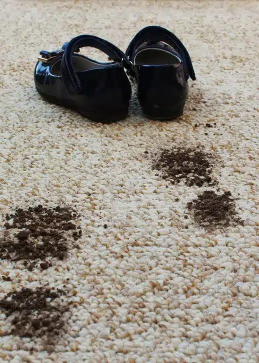carpet stain removal service in dubai